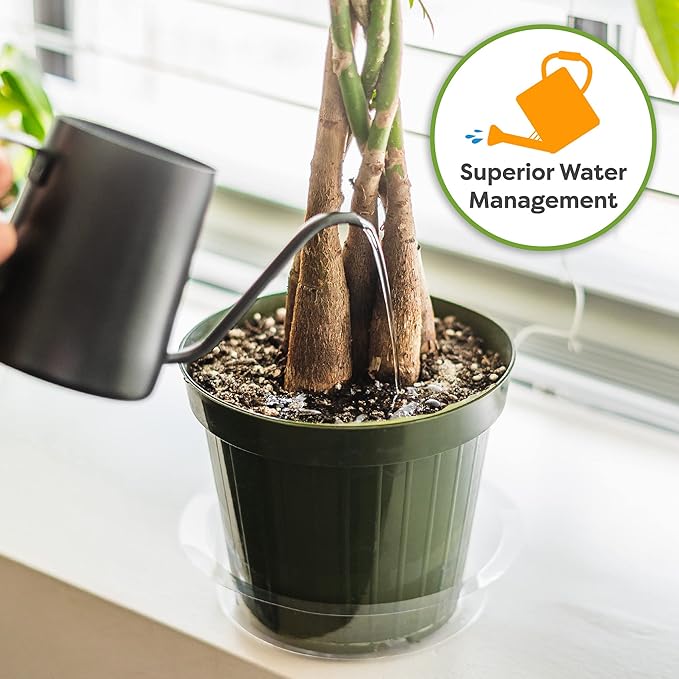 Perfect Plants Money Tree Potting Soil 2qt | Organic Coco Coir Based Plant Mix for Indoor Trees | Quickly Grow Your Indoor Forest (2qts.)