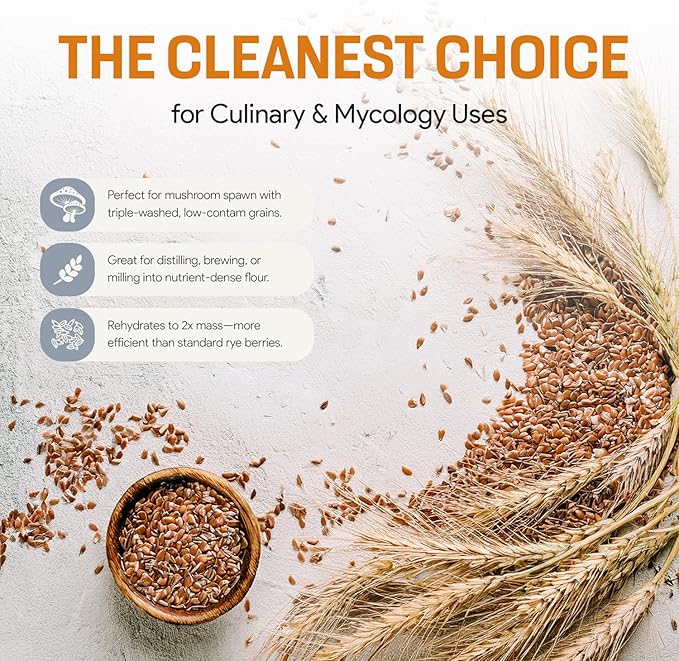 Bulk Rye Berries - Certified 100% Organic - Extra Clean - Great for Mushroom Spawn, Cooking, Brewing & Distilling - Triple Washed, non-GMO and in Resealable Bag - by Mycology Basics (10 lbs)