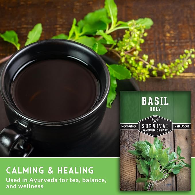 Survival Garden Seeds - Holy Basil Seed for Planting - 3 Packets with Instructions to Plant and Grow The Indian Sacred Herb Tulsi in Your Home Vegetable Garden - Non-GMO Heirloom Variety