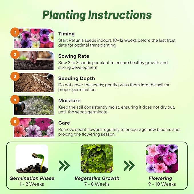 Outsidepride Veined Multiflora Petunia Seeds - 500 Pcs. Annual, Compact, Flower Seeds for Planting, Vibrant Blooms, Ideal for Garden Beds, Hanging Baskets & Container Displays