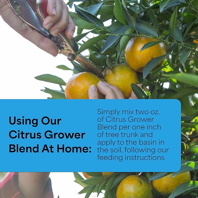 Grow More Citrus Grower Blend (1.7-0-0) - 10oz of Organic Citrus Fertilizer for Potted Trees w/Chelated Micronutrients - Improves Taste, Color, & Firmness
