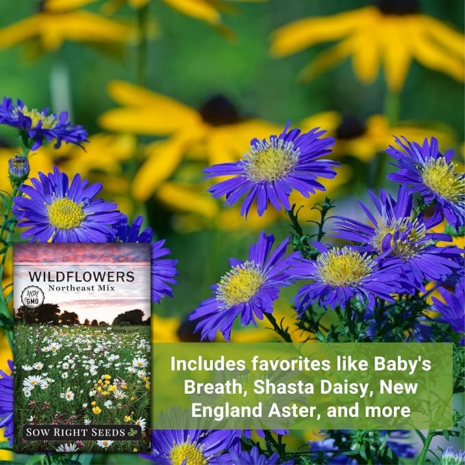 Sow Right Seeds - Wildflowers Seeds Mix for Planting in Northeast - Non-GMO Heirloom Varieties to Grow a Wild Flower Garden - Perennial and Annual Flowers to Attract Pollinators - Colorful Blooms (1)