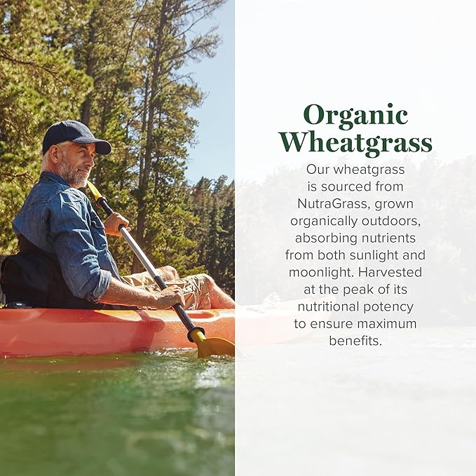 Global Healing Wheat Grass Powder Organic 180g - Nutrient-Dense, Raw Wheatgrass Juice Powder (33:1 Extract) with Strong Antioxidants for Immune Support & Energy Boost - Cold-Process, Non-GMO - 6.3 Oz