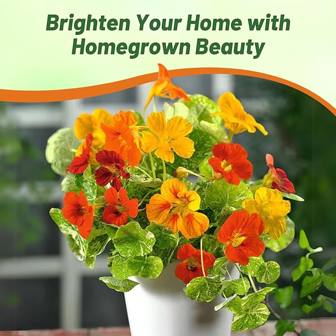 Outsidepride Jewel Mix Nasturtium Seeds - 1 lb. Annual, Easy to Grow & Versatile, Flower Seeds for Planting Vibrant Blooms, Ideal for Gardens, Borders, and Pollinator Gardens