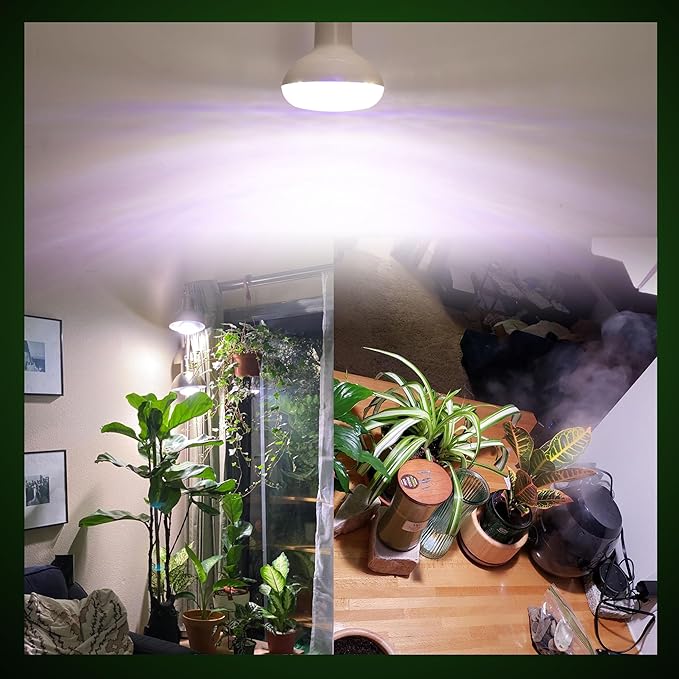 Full Spectrum BR30 Led Plant Grow Light Bulbs 15W 2000lm,E26 BR30 Floodlight Sun Plant Growing Lamp,200 Watt Equivalent,Balanced Spectrum 5000K Red Blue for Seeds Greens,Indore Garden, Hydroponic,2pcs