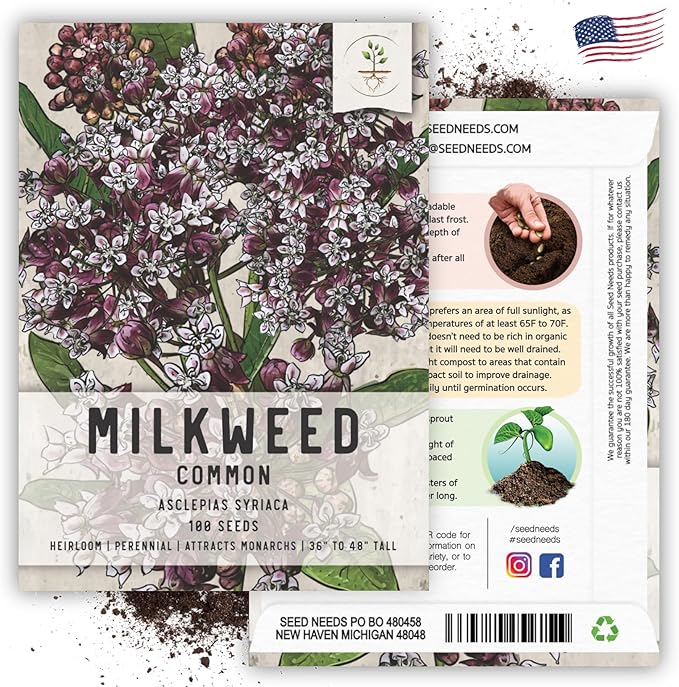 Seed Needs Pink Milkweed Seeds for Planting Common Asclepias syriaca - Heirloom & Open Pollinated Perennial Flower Seed to Plant a Monarch Butterfly Garden (5 Packs)