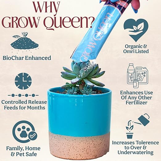 Grow Queen Complete Organic Cactus & Succulent Fertilizer, Succulent Plant Food & Cactus Food, Bonsai, Snake Plant Fertilizer, 11 Servings Fast & Slow Release Feeds up to 44 Plants 8 Months