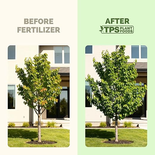 Cherry Tree Fertilizer – Liquid Plant Food for More Blossoms, Better Fruit Set & Stronger Roots, 8 oz