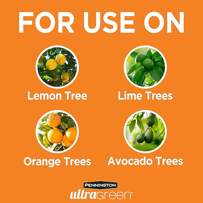 Pennington 100525941 UltraGreen Citrus & Avocado 10-5-5 Plant Food, 5 lb