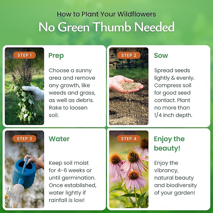 Created By Nature Pennsylvania Wildflower Seed Mix, 15 Flower Varieties, 50,000 Seeds