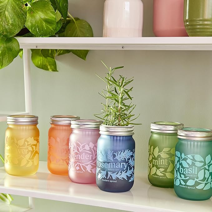 Modern Sprout Mason Garden Jar - Self-Watering Hydroponics Growing System Kit with Organic Herb Seeds - Jar Planter for Indoor Herb Garden - Seed Starter Kit - Easter Gifting -Basil+Lavender+Sunflower