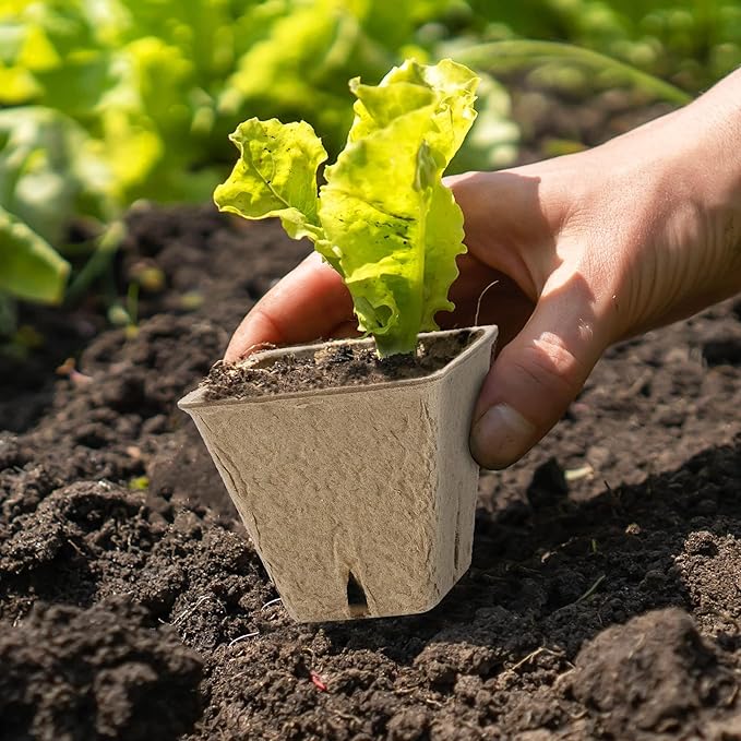 Hahood 180 Pieces Peat Pots Plant Starters 2.3 Inch Square Peat Pots for Herb Seedlings Garden Germination Nursery Pots Organic Germination Plant Starter with Plant Markers Labels for Plants Supplies