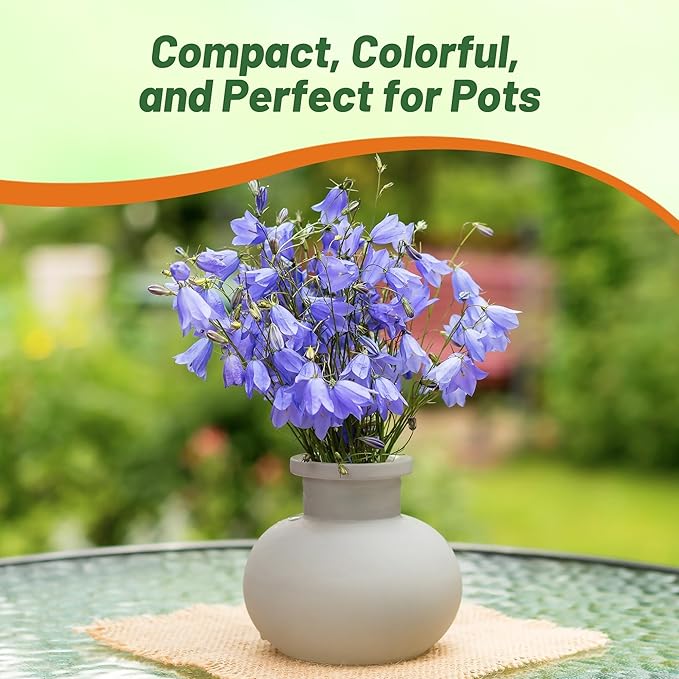Outsidepride Carpatica Blue Bellflower Seeds for Planting - 5000 Pcs Perennial Mat-Forming Flower Seeds with Bell Shaped Blooms & Low Growth Habit for Edging Pollinator Gardens, Containers, & Borders
