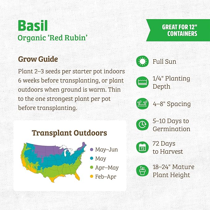 Back to The Roots 100% Organic Seed Packet - Basil 'Red Rubin' 300mg