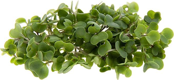 Sulforaphane MICROGREEN Seed Mix | Perfect for Microgreen Growing Trays | Kale, Cabbage, Turnip & Broccoli Sprouting Seeds | Non GMO Heirloom Seeds | 1 LB Resealable Bag | Rainbow Heirloom Seed Co.