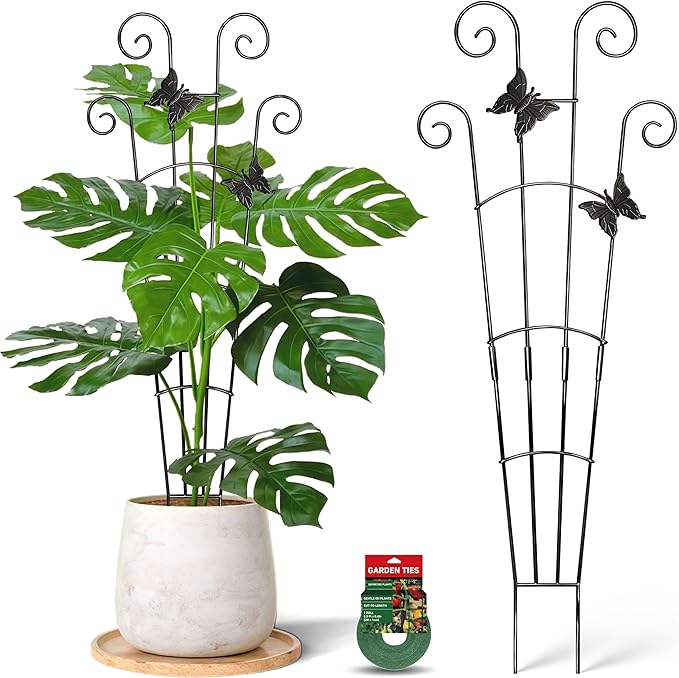 COOMIN 30'' Monstera Plant Support Outdoor, Metal Expandable Plant Supports for Indoor Plants, 2P Garden Trellis for Climbing Plants Indoor - Ivy, Pothos, Philodendron, Hoya