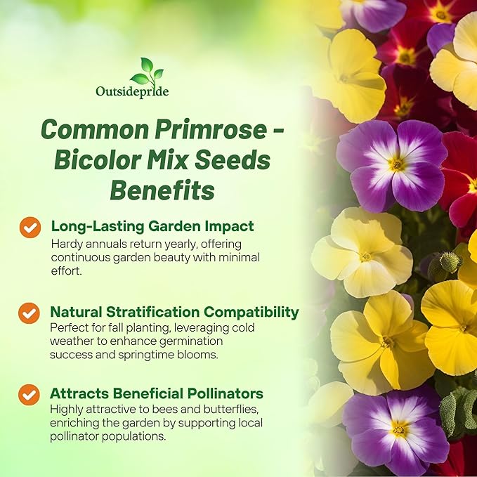 Outsidepride Danova Bicolor Mix Common Primrose Seeds - 25 Pcs Annual, Hardy, Easy to Grow & Low Maintenance Flower Seeds for Planting Vibrant Soft Blooms, for Containers, Borders & Erosion Control