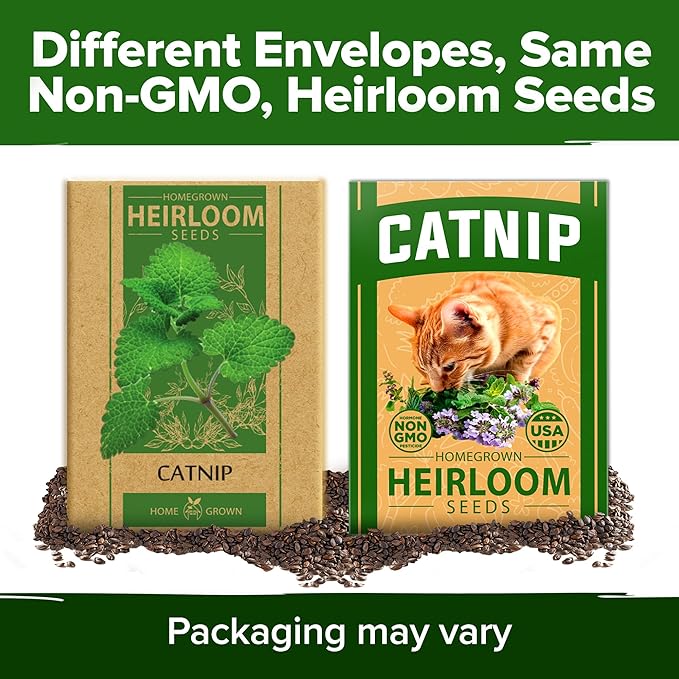 HOME GROWN Catnip Seeds (2 Pack) Heirloom Herb 4232 Seeds - Indoor or Outdoor Seed - High-Germination Cat Nip - Cat Safe Plants (Nepeta cataria)