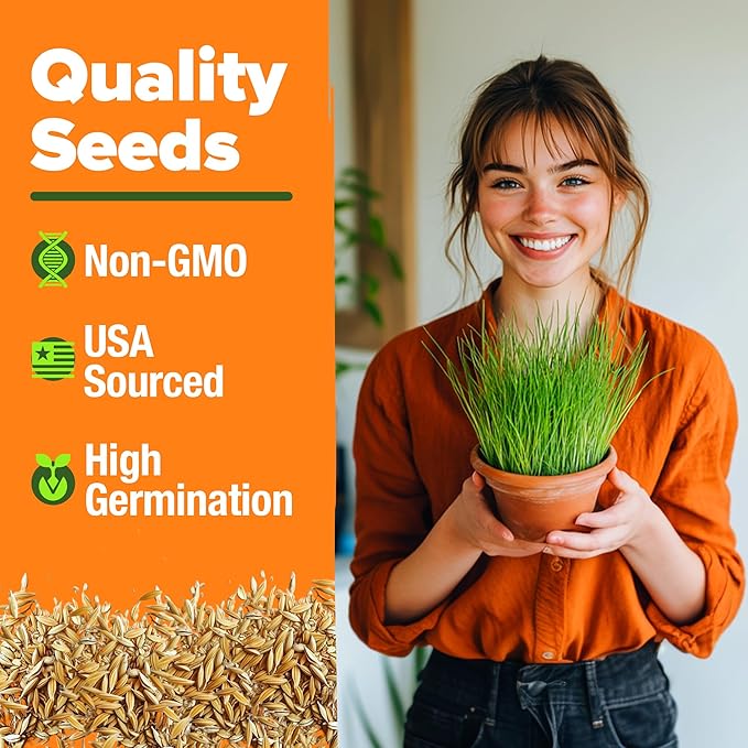 HOME GROWN Non GMO 1 Pound Cat Grass Seeds for Cat & Kittens Oat & Barley Mix 100% Heirloom, Grow Fresh Kitty Grass for Chewing, Pet Grass for Cats Indoor Garden