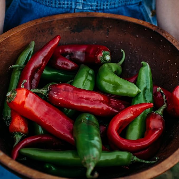 Numex Big Jim Pepper (Hatch Green Chile) - 25 Seeds - Heirloom & Open-Pollinated Variety, USA-Grown Chili Seeds, Non-GMO Vegetable Seeds for Planting Outdoors in The Home Garden, Thresh Seed Company