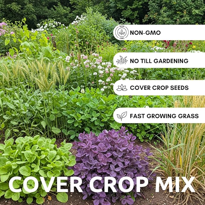 No-Till Cover Crop 10 Seed Mix - Winter Rye, White Clover, Austrian Winter Peas, Triticale, Crimson Clover, Cow Peas, Daikon Radish, Purple Turnips, Wheat, Oats, (1/2 Pound)