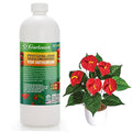 𝐏𝐑𝐎𝐅𝐄𝐒𝐒𝐈𝐎𝐍𝐀𝐋 Liquid Silica Plant Supplement - 32oz - ANTHURIUM Plants Liquid Silica Boost Fertilizer - Stronger Stems & Healthy Leaves for Indoor & Outdoor Anthurium (Makes 180 Gallons)