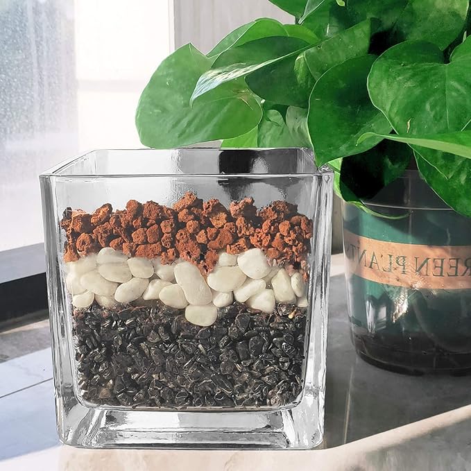 Red Lava Rocks for Plants -100% Pure Volcanic Rock No Dyes or Chemicals-Best Lava Stones Top Dressing for Cacti Succulents Plants,Bonsai-5LBS