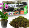 Dried Forest Moss for Plants (10 qt / 2 pcs), Sphagnum Potting Moss for Various Plants, Including Orchids, Carnivorous Plants, Succulents, Garden Flowers, and Reptiles