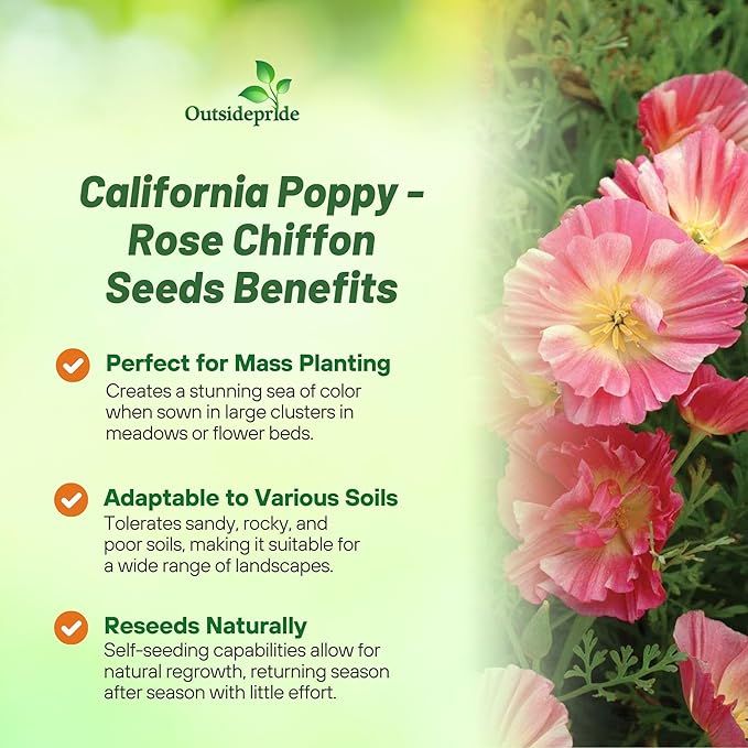 Outsidepride California Rose Chiffon Poppy Seeds for Planting - 200 Pcs Annual, Drought-Tolerant & Easy to Grow Wildflower Seeds with Vibrant Pink Blooms for Landscaping, & Pollinator Garden