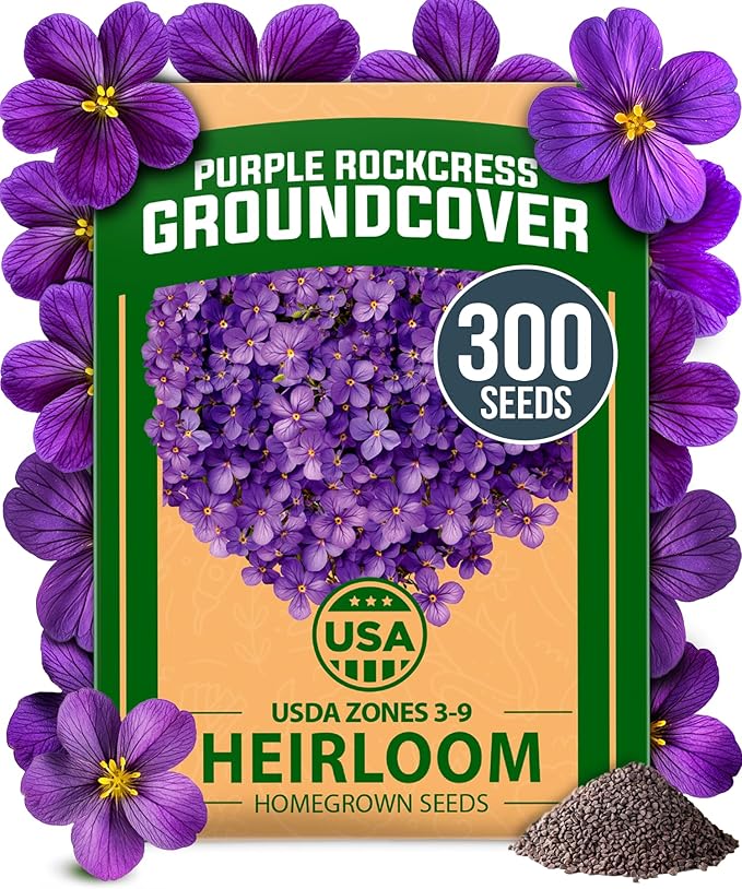 HOME GROWN Flower & Herb Seed Trio – 1,000+ 𝗡𝗢𝗡-𝗚𝗠𝗢 -𝗦𝗢𝗨𝗥𝗖𝗘𝗗 Seeds: White Lilac, Aubrieta Rock Cress & Dandelion – Heirloom 𝗨𝗦𝗔-Grown for Pollinators, Ground Cover & Medicinal Uses