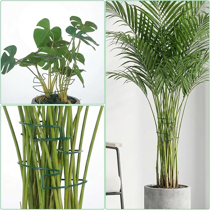 5 Pcs Plant Stakes for Indoor Plants, Reusable Iron Monstera Plant Support Structures Plant Supports for Indoor Plants Climbing and Thriving Growth Holders Gardening Accessories