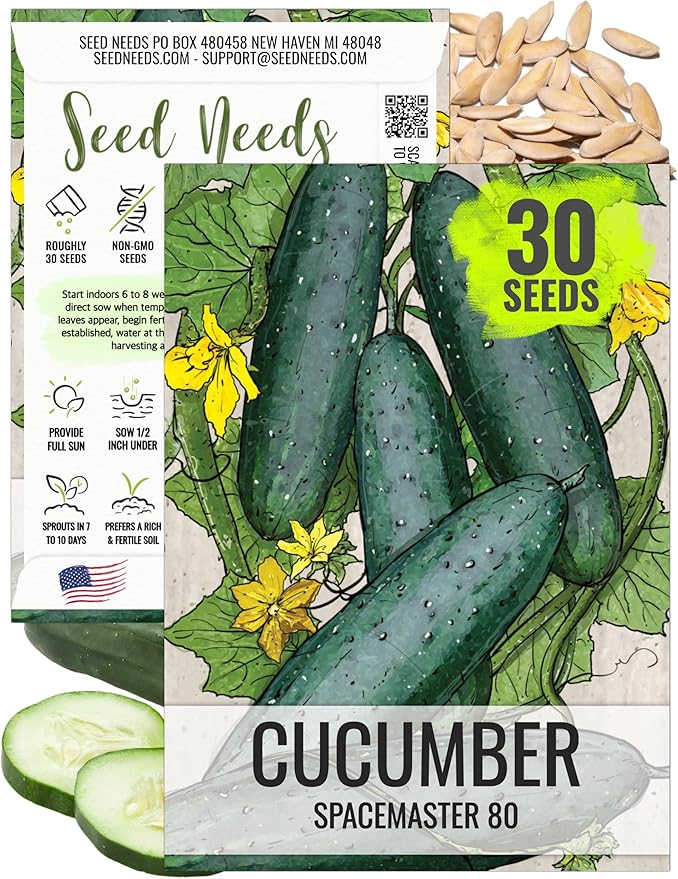 Seed Needs, Spacemaster 80 Cucumber Seeds - 60 Heirloom Seeds for Planting Cucumis sativus - Grow Your Own Outdoor Vegetable Garden, Non-GMO & Untreated (1 Pack)