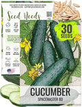 Seed Needs, Spacemaster 80 Cucumber Seeds - 60 Heirloom Seeds for Planting Cucumis sativus - Grow Your Own Outdoor Vegetable Garden, Non-GMO & Untreated (1 Pack)