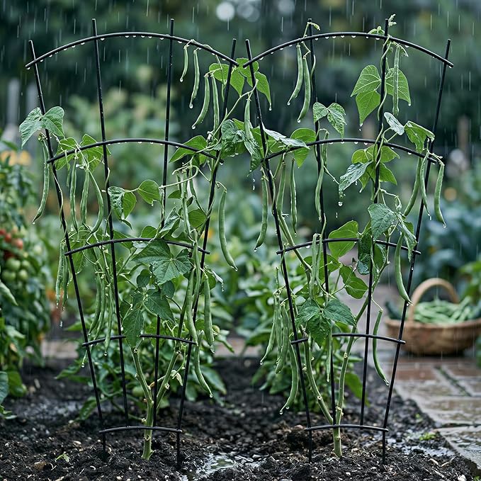4 Pack 43" Metal Plant Trellis for Pots & Garden Beds, Rustproof Support for Indoor Outdoor Climbing Plants, Vines, Flowers, Fan Shaped, Black