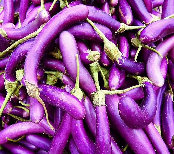 Vegetable Garden Seeds for Planting - Grow Heirloom Vegetables (Purple Beauty Eggplant)