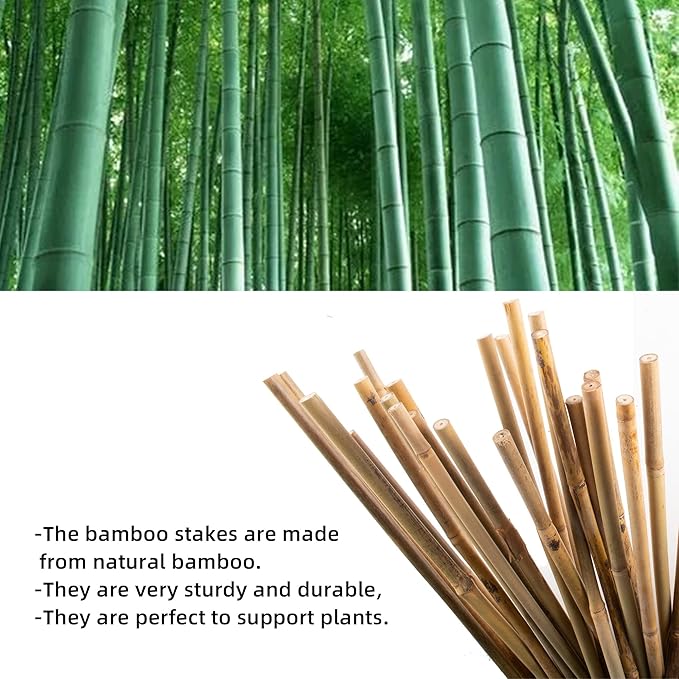 Avalution 10 Pack Natural Bamboo Trellis for Climbing Plants 16" Outdoor Garden Ladder Trellis, Fan -Shaped Plant Support Trellis for Potted Plant