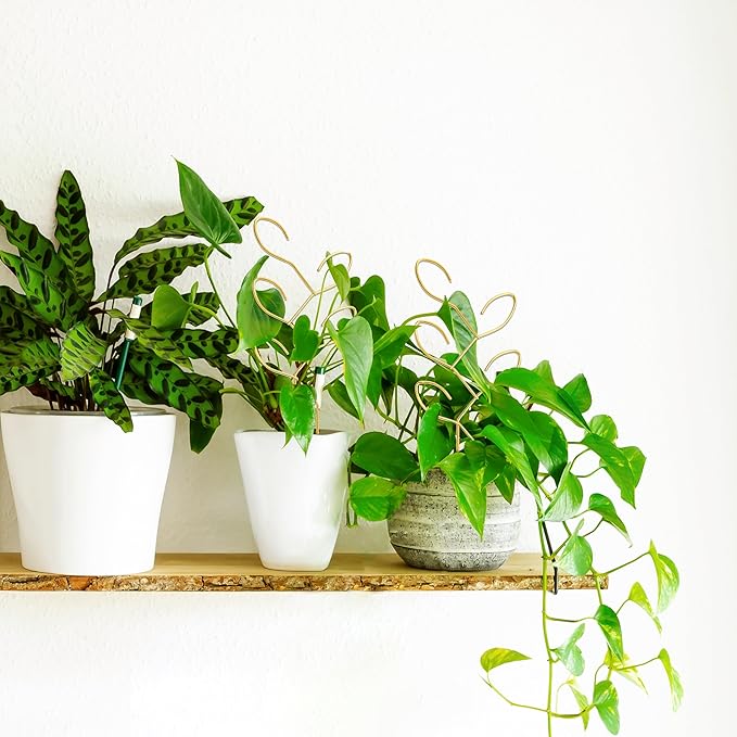 2 Pcs Metal Leaf Shape Garden Trellis for Climbing Plant, Potted Plants, Mini Plants, Indoor Plants Trellis, Home Plant Tool, Plant Lover Gifts Ideas for Garden Potted, Hoya, Pothos, Monstera(Gold)