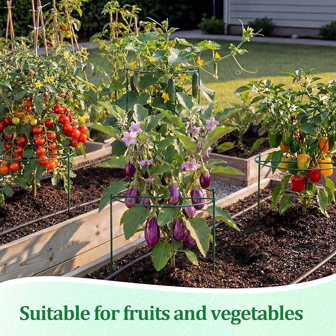 Novabright 2 Pcs 24" H x 20" D Large Peony Cage and Support Grow Through Plant Supports Round Garden Flower Stake Plants Ring Hoop for Outdoor Floral Tomato Vegetable Improve Planting Success Rate
