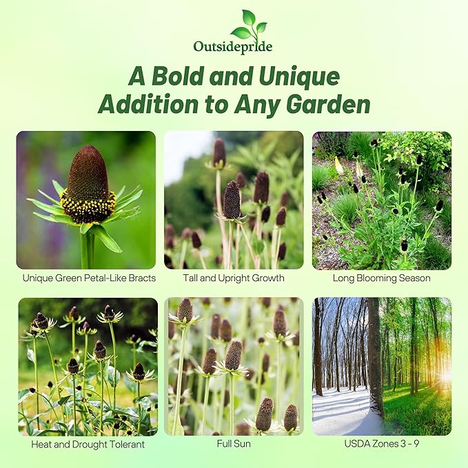 Outsidepride Green Wizard Rudbeckia Seeds - 100 Pcs. Perennial, Easy to Grow & Self-Seeding Flower Seeds for Planting Grenn Blooms, for Low Maintenance Pollinator Gardens & Erosion Control