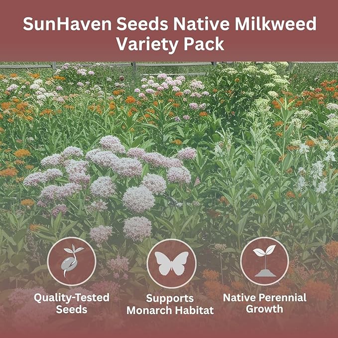 Native Milkweed Variety Pack - 5 Essential Species for Monarch Butterfly Gardens - Common, Swamp, Butterfly Weed, Showy & Narrowleaf - Non-GMO Native Wildflower Seeds for Pollinators