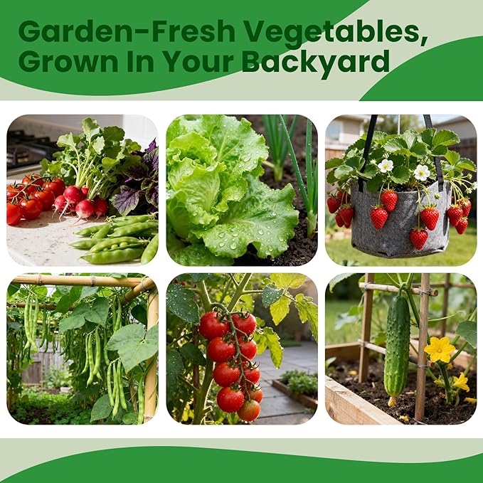 45 Vegetable Seeds Variety Pack - 17,000+ Non-GMO Heirloom for Planting Garden Seed Packets, Indoor & Outdoors Gardening -Seed Vault Kit, Friend Gift,Tomato Cabbage Spinach Cucumber Lettuce