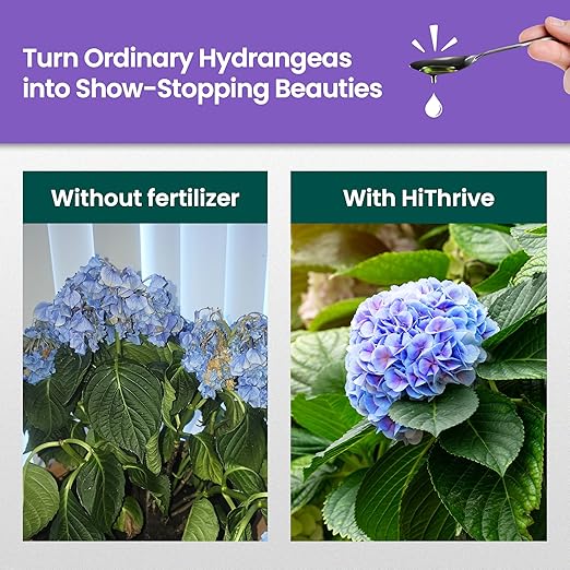 16oz Hydrangea Fertilizer - Makes 16 Gallons of Hydrangea Plant Food, Hydrangeas Indoor Plant Fertilizer Liquid for Lush Growth, Strong Stems, and Vibrant Blooms, Nutrient-Rich Flower Food
