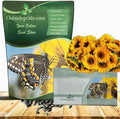 Outsidepride Wild Sunflower Seeds for Planting - 1 lb. Annual, Easy to Grow Flower Seeds w/Vibrant, Abundant Blooms for Cut Flower Arrangements & Pollinator & Vegetable Gardens