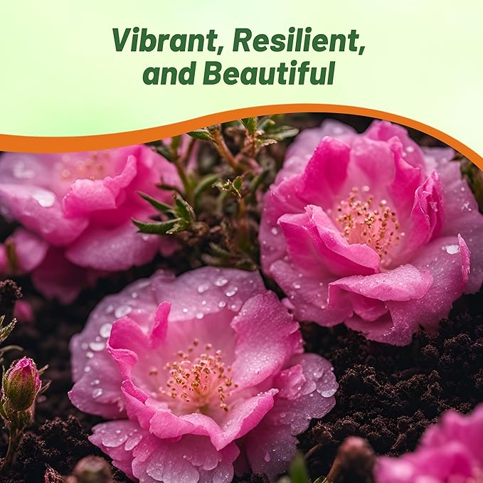 Outsidepride Pink Moss Rose Seeds - 10000 Pcs Annual, Drought & Heat Tolerant, Pollinator Friendly Ground Cover Seeds for Planting w/Vibrant Blooms & Succulent Foliage, Ideal for Xeriscaping