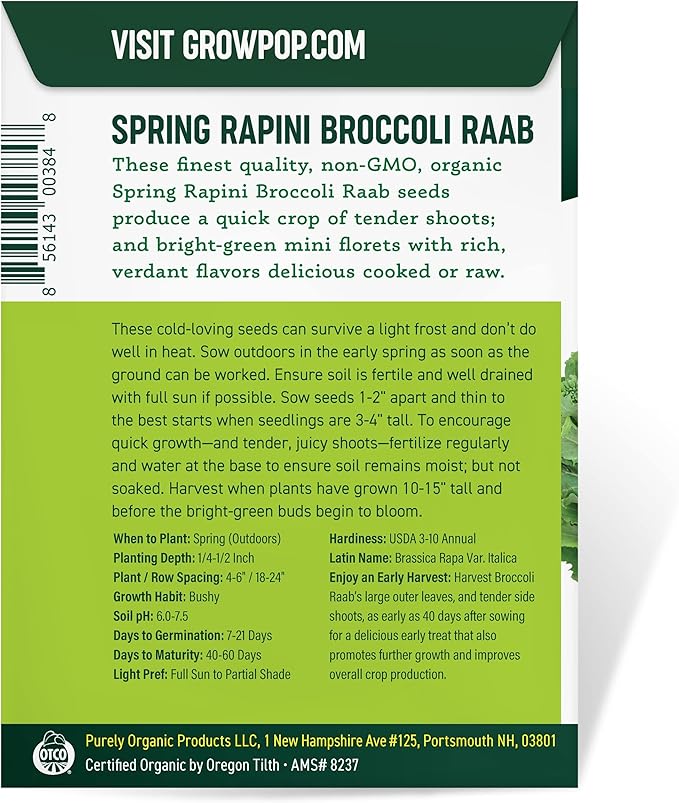Organic Broccoli Raab Seeds (Spring Rapini) - Approx 750 Seeds - USDA Organic, Non-GMO, Open Pollinated, Heirloom, USA Origin