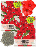 Seed Needs Phlox Seeds for Planting Red Drummond Phlox - Heirloom & Open Pollinated Annual Flowers to Attract Butterflies & Bees to a Butterfly Garden (2 Packs)