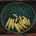 Aji Pineapple Peruvian Chile Pepper - 10 Seeds - Heirloom & Open-Pollinated Variety, Non-GMO Vegetable Seeds for Planting in The Home Garden, Thresh Seed Company