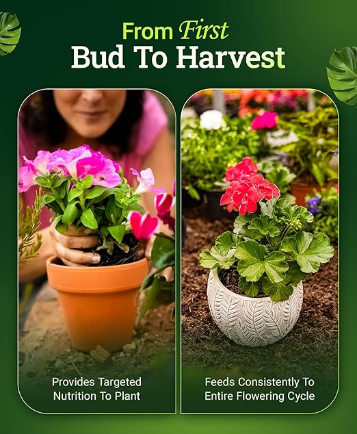 FoxFarm Cultivation Nation Bloom Fertilizer, 0-5-4 - Part 3 of FoxFarm 3-Part Feeding Program for Bud Development - Liquid Plant Food for Transition to Flowering and Harvest - 1 Pint