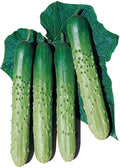Cucumber Seeds - Asia Eun Cheon - Hybrid - 500 Mg Packet ~20 Seeds - Non-GMO, F1 Hybrid - Asian Garden Vegetable