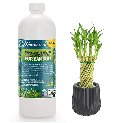 𝐏𝐑𝐎𝐅𝐄𝐒𝐒𝐈𝐎𝐍𝐀𝐋 Liquid Silica Plant Supplement - 32oz - Bamboo Plants Liquid Silica Boost Fertilizer - Stronger Stems & Healthy Leaves for Indoor & Outdoor Bamboo Plants (Makes 180 Gallons)